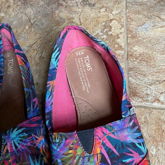 Colourful Tom canvas shoes - Picture 3 of 4